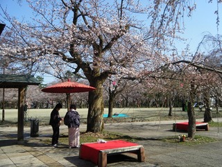 DSCF7523.jpg