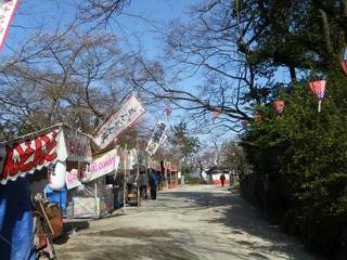 DSCF7539.jpg