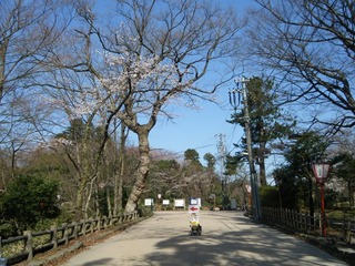 DSCF7541.jpg