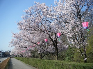 DSCF7544.jpg