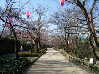 DSCF7549.jpg