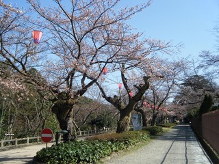 DSCF7552.jpg