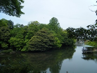DSCF7774.jpg