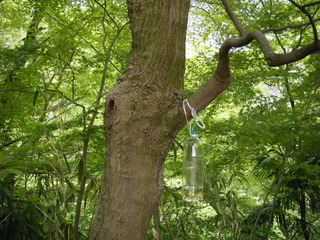 DSCF9154.JPG