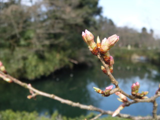 DSCF9733.JPG