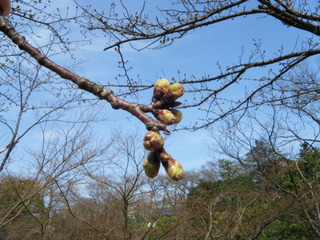 DSCF9757.JPG