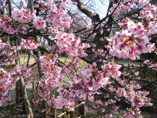 DSCF9763.JPG