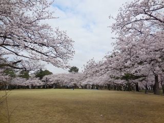 DSCN0001 (1024x768).jpg