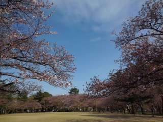 DSCN0043 (1024x768).jpg