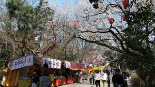 DSC_0029.JPG