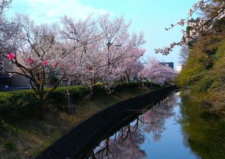 DSC_0055.JPG