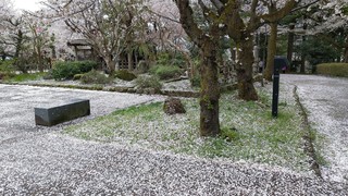 DSC_0073.JPG