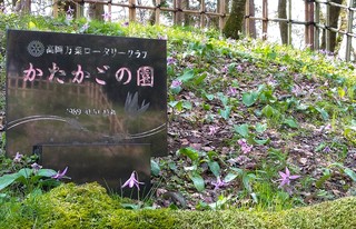 DSC_0084.JPG