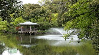DSC_0087.JPG