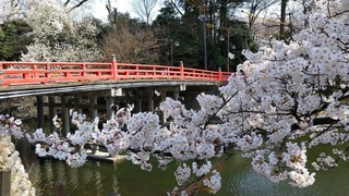 DSC_0087.JPG