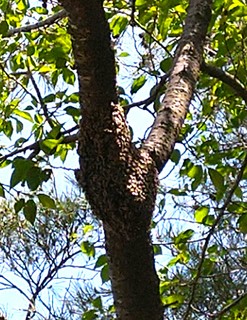 DSC_0124.JPG
