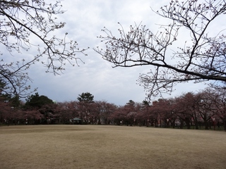 小竹藪広場(1024x768).jpg