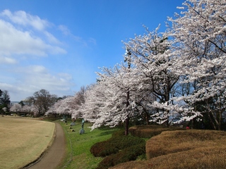 本丸広場.jpg