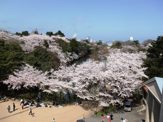 摜 001.jpg