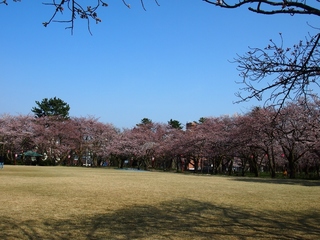 P4022350 (1024x768).jpg