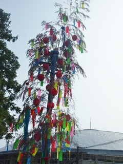 P7272502 (768x1024).jpg