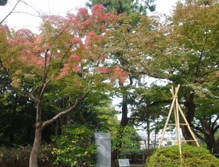PA222636 (1024x768).jpg