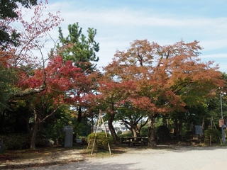PA271463 (1024x768).jpg