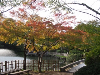 PA281476 (1024x768).jpg