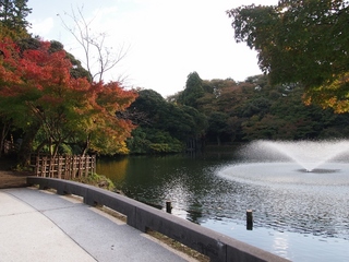 PA281477 (1024x768).jpg