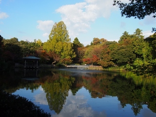PA281483 (1024x768).jpg