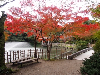 PB102732 (1024x768).jpg