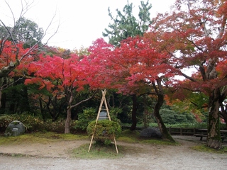 PB102739 (1024x768).jpg