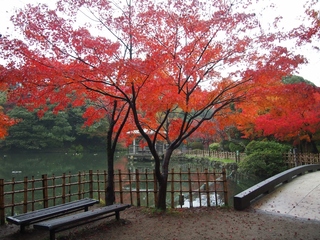 PB152788 (1024x768).jpg