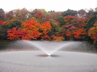 PB192883 (1024x768).jpg
